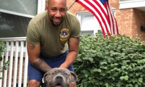 Veteran Small Business Loans